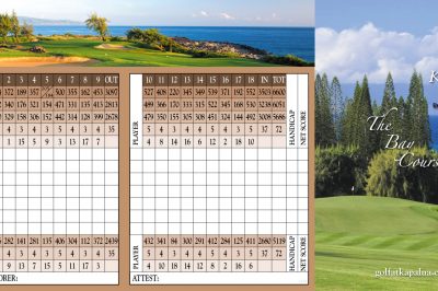hawaii-golf-cruises-golfahoy-kapalua-bay-course